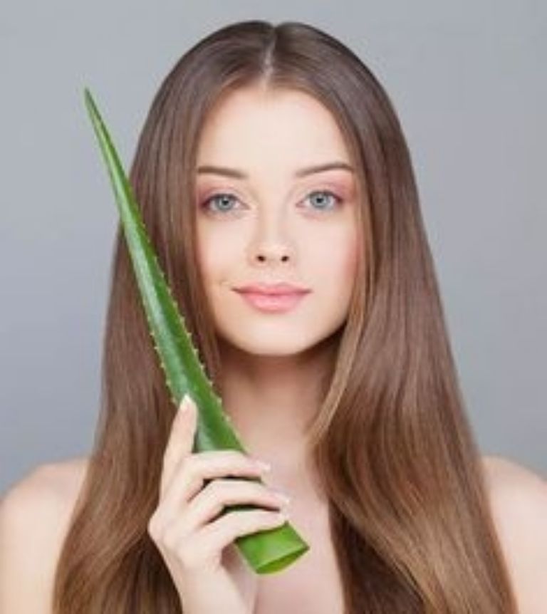 Aloe vera y canas 