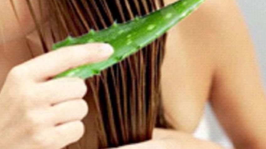 Toma nota: aprende a hacer un gel casero con aloe vera y café para ocultar las canas