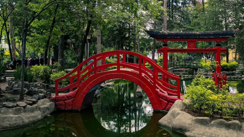 Este es el parque en Coyoacán donde puedes sentirte como en Japón y es gratuito