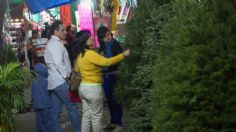 ¿Cuánto cuesta un árbol de Navidad este 2023 en el Mercado de Jamaica de la CDMX?