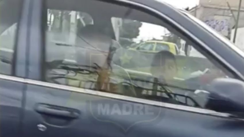 Niño de 6 años al volante: Un papá deja manejar a su hijo cerca de la Central de Abastos | VIDEO