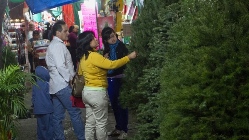 ¿Cuánto cuesta un árbol de Navidad este 2023 en el Mercado de Jamaica de la CDMX?