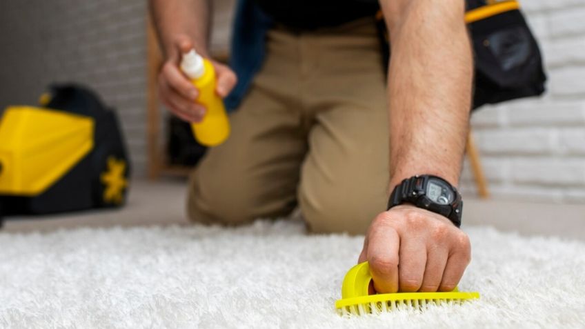 Un empleado limpiador de alfombras revela su secreto para hablar 24 idiomas de forma fluida