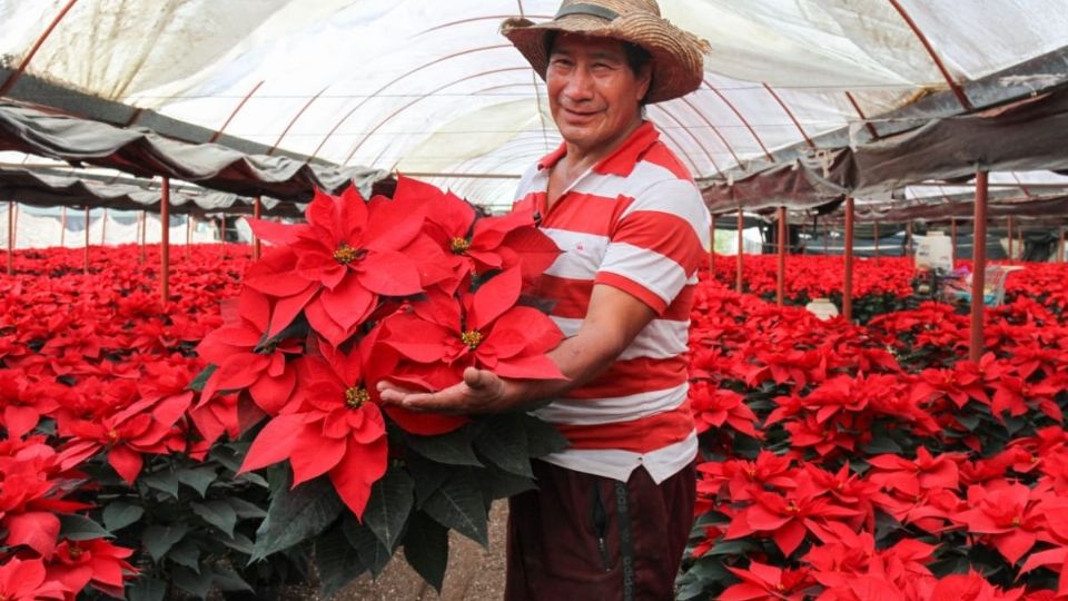 Alfredo Flores, floricultor de la zona chinampera de San Luis Tlaxialtemalco, en Xochimilco, invitó a conocer sus viveros.