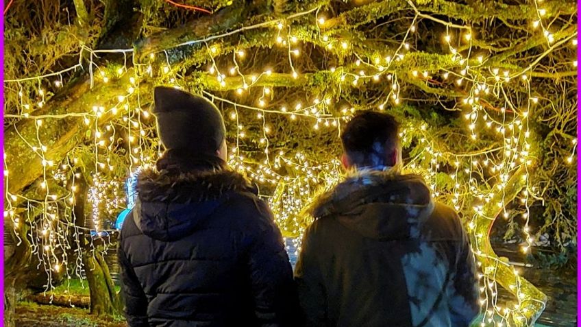 Este es el bosque iluminado en Hidalgo que tienes que visitar esta Navidad