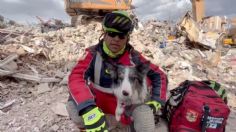 VIDEO: el perrito Balam ya rescató a una persona con vida tras sismo de Turquía