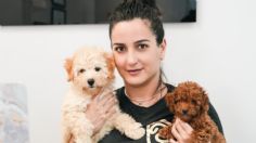 ¿Tienes un cachorro?: estos son 3 consejos de Zahina Porto para entrenar a tu lomito