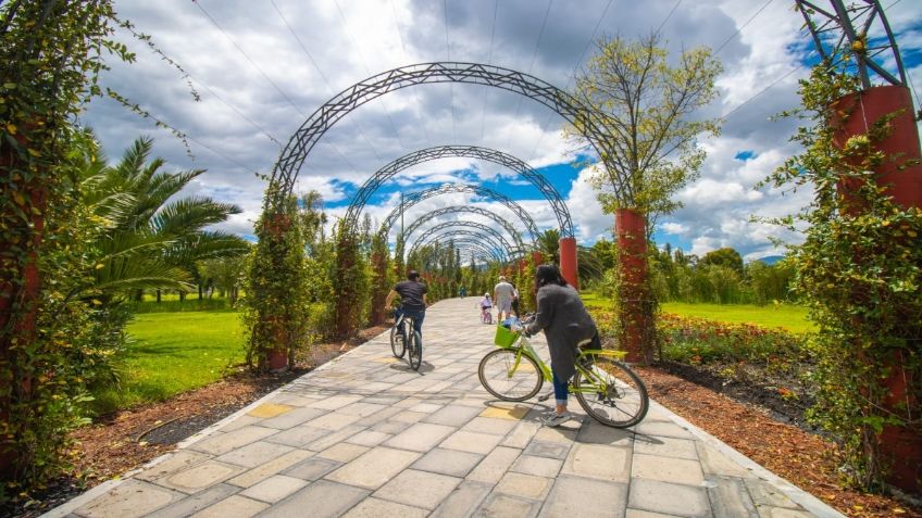 14 de Febrero: Sedema invita a disfrutar el Día del Amor con un Paseo en Bici