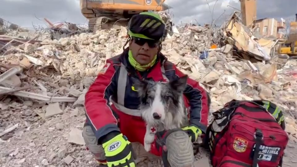 Balam es uno de los perritos rescatistas en Turquía.