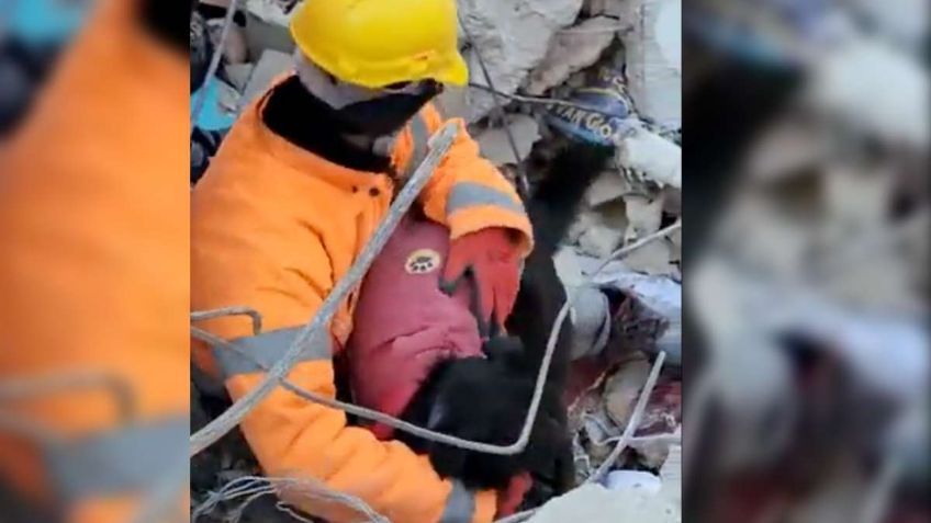 Mara Lezama reconoce a los héroes mexicanos que rescataron de los escombros a una de las víctimas del sismo de Turquía