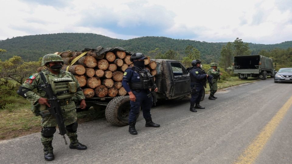 Certificarán a 20 inspectores en materia forestal