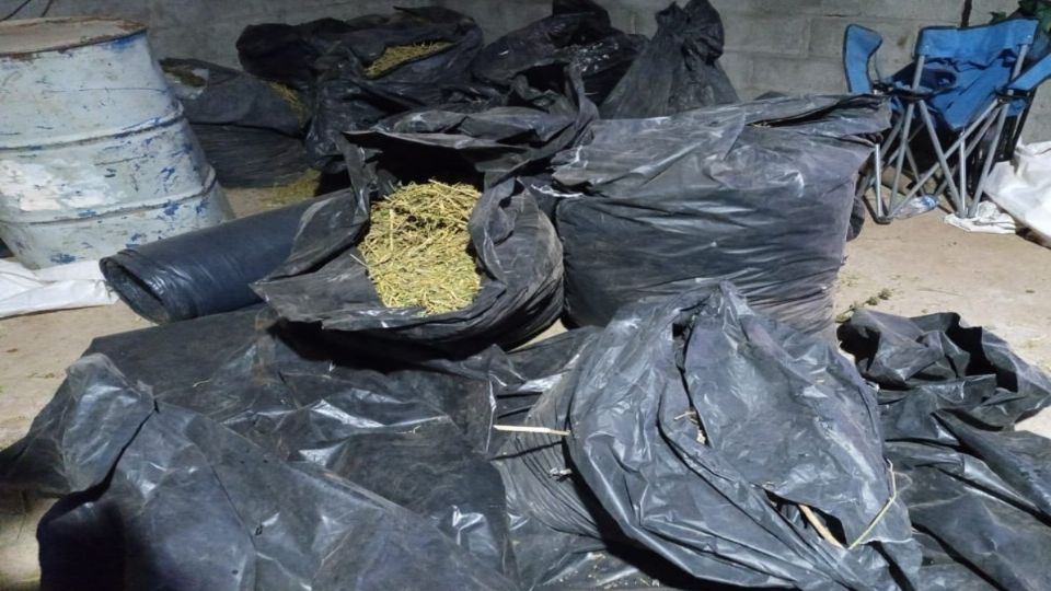 Decomisaron 21 bolsas con marihuana