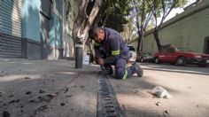 CDMX: autoridad del Centro Histórico repone rejillas pluviales