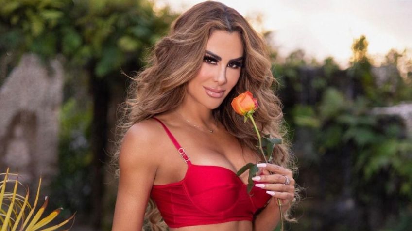 Ninel Conde seduce en redes con revelador vestido de aberturas