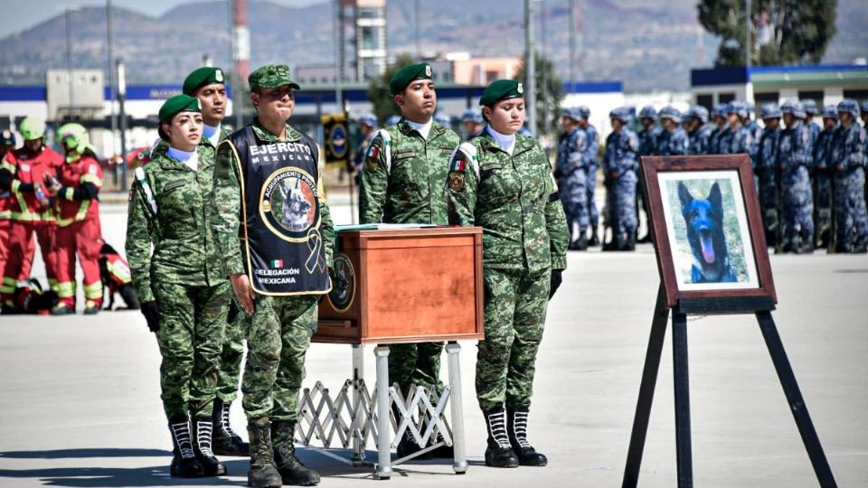 Cada uno de los elementos y de los binomios caninos llegaron al país rindiendo un homenaje a Proteo en su uniforme.