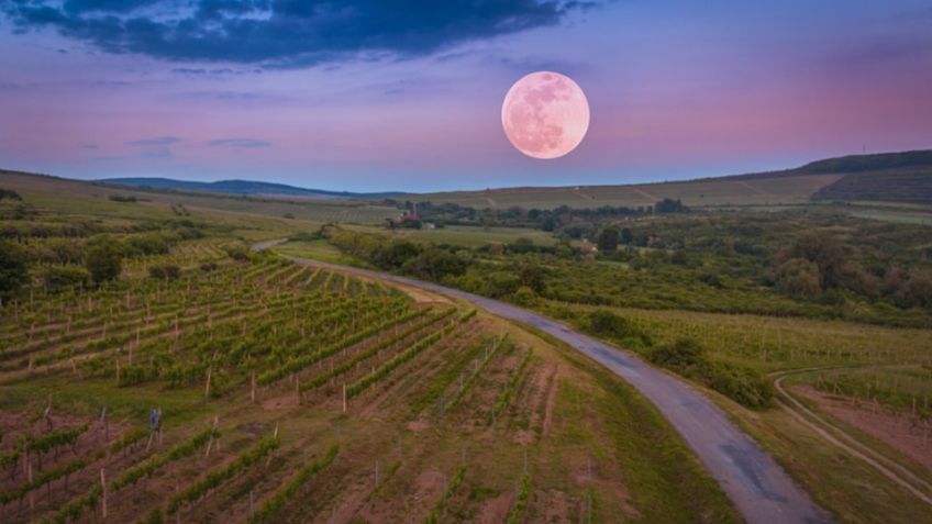 Luna Nueva en Piscis, así afectará a los signos el 20 de febrero