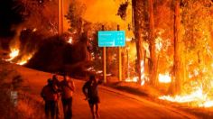 VIDEO | Bomberos de Chile intentan sofocar infernal incendio forestal en la región de Biobío