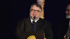 La UNAM descubre nuevas especies de Luciérnagas, y las nombran en honor a Guillermo del Toro