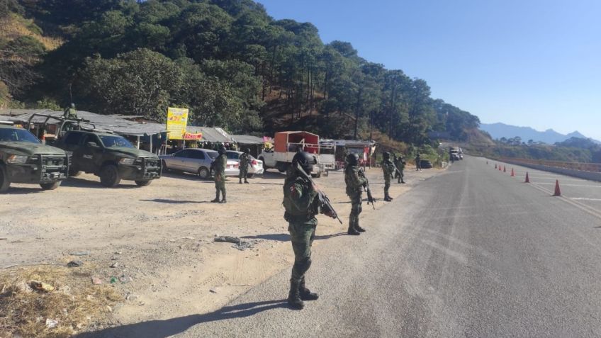 Ejército Mexicano destruye alrededor de 1500 plantíos de amapola durante enero en Durango