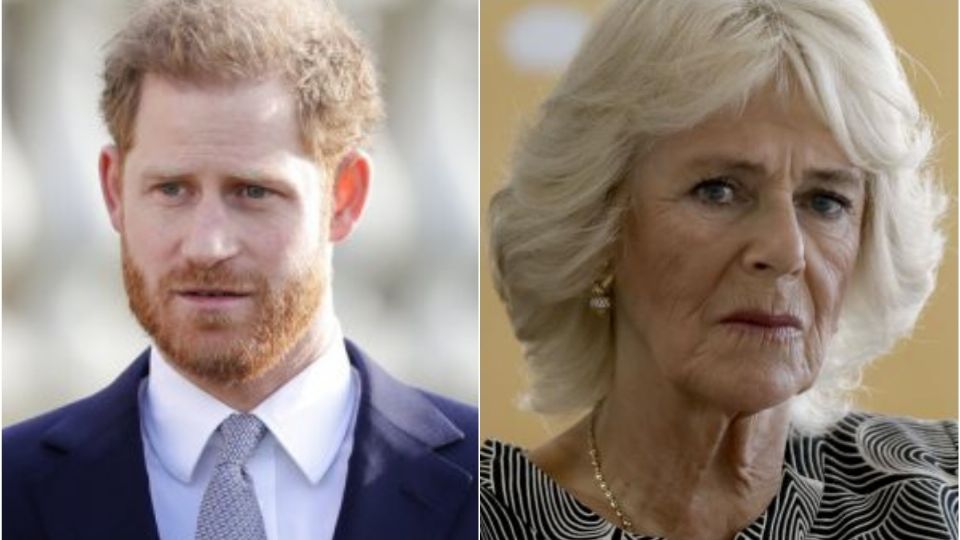 La reina consorte fue madrastra de Harry y William