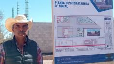 Logran proyecto comunitario en Durango: más de 100 vecinos se organizan para cultivar nopal