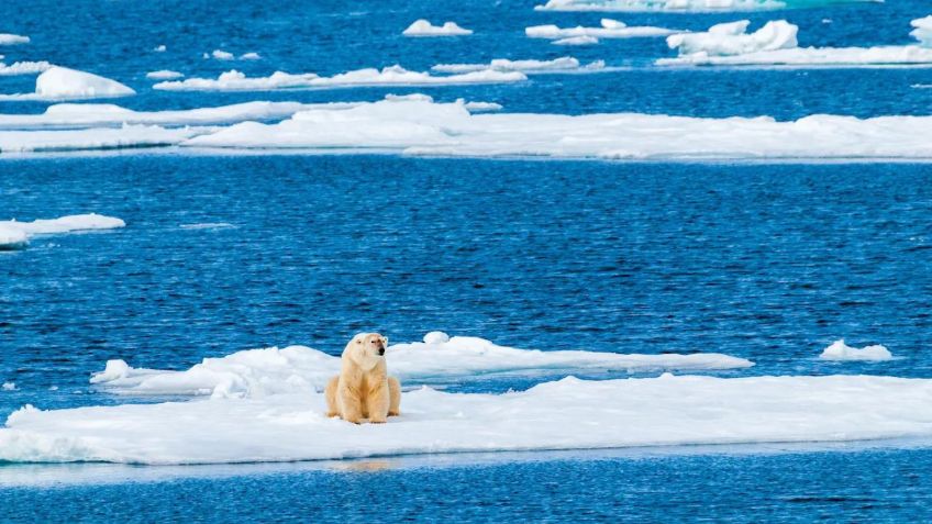 ¿Cómo se retroalimenta el cambio climático? Estudio revela lo peligroso que podría ser