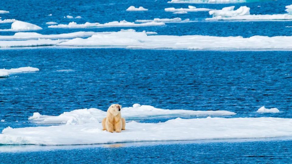 Entre los circuitos de retroalimentación mencionaron el descongelamiento del permafrost.