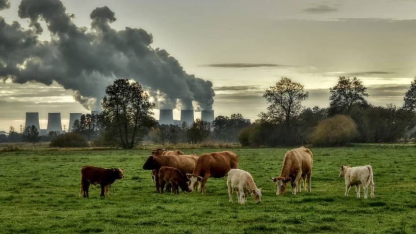 Cambio climático: las regiones en el mundo que quedarían devastadas por las extremas temperaturas