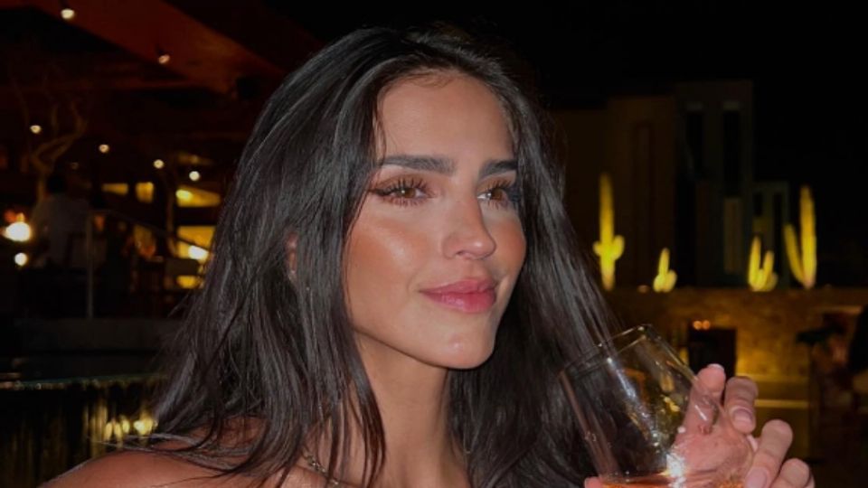 Bárbara de Regil podría quedar fuera de la telenovelas por este motivo