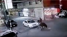 VIDEO | Conductor se ve envuelto en accidente de tráfico… ¡con un caballo!