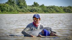 Dos delfines rosados fueron rescatados por elementos militares colombianos