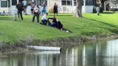 Desgarrador video: una abuelita muere atacada por un caimán cuando paseaba a su perrito