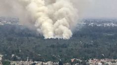 VIDEO: un incendio en Xochimilco genera una columna de humo de varios kilómetros