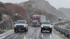 VIDEOS | La Rumorosa se cubre de blanco: deja árboles caídos, cortes de luz y cierres carreteros por intensas nevadas