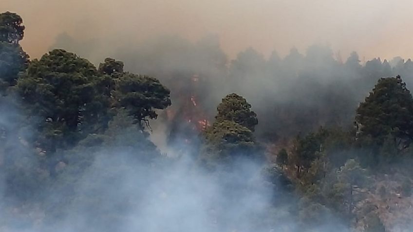 Arde el Pico de Orizaba: un sorprendente incendio ha consumido más de 50 hectáreas en 30 horas