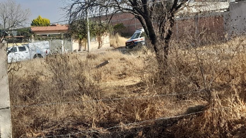 Localizan osamenta en una finca en construcción