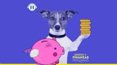 Mascotas: tener una es un gasto de 3 mil pesos al mes