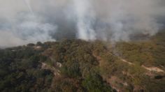 VIDEO | Bosque La Primavera en llamas: así se ve el voraz incendio que combaten cerca de 200 personas