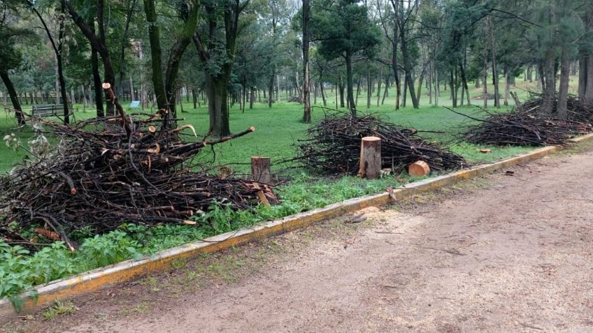 Sanean al parque Naucalli en Naucalpan