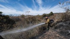 Sofocan incendio en Bosque La Primavera: se mantienen activas 3 contingencias ambientales