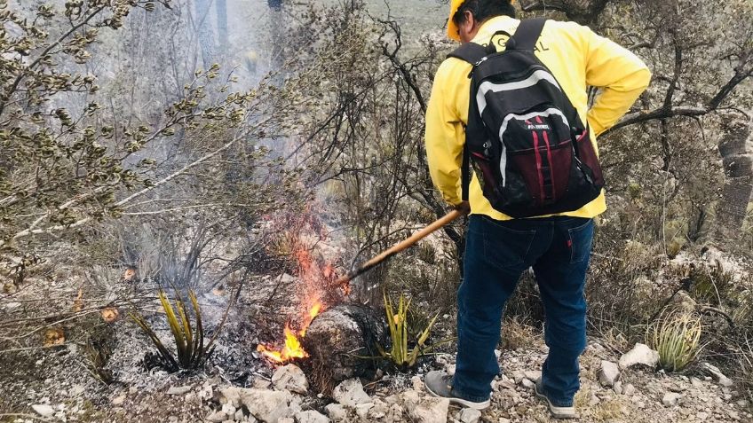 Se registran dos incendios forestales en Tamaulipas, pese a que aún no inicia la temporada