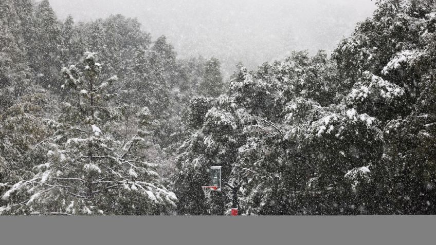 FOTOS | California se cubre de blanco por fuerte tormenta invernal