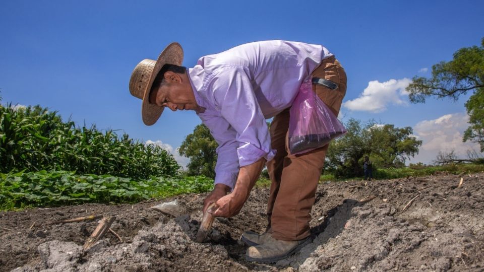 El vicepresidente del CNA propone un diálogo urgente.