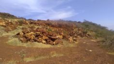 Indígenas zapotecas defienden el Cerro de La Llovizna