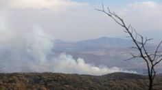 Bosque de la Primavera en Jalisco: incendio habría sido provocado