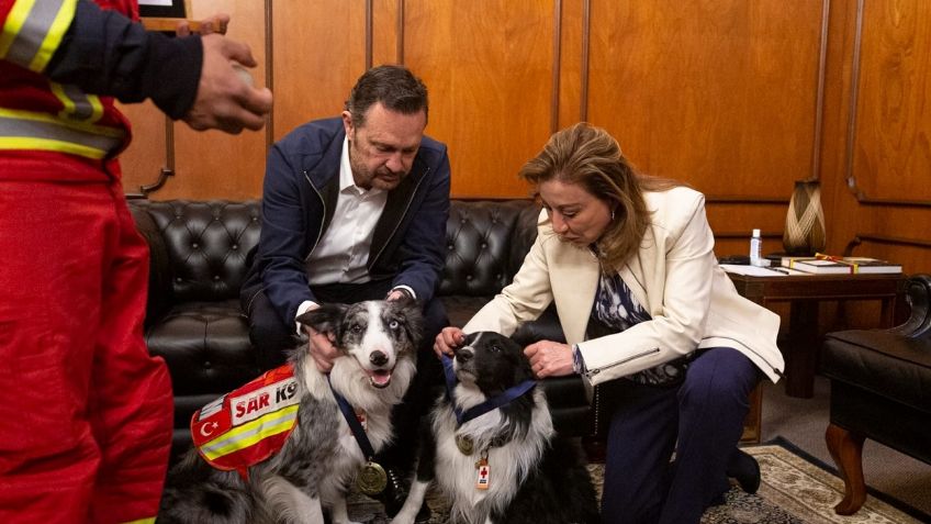 Balam y Orly, los perros rescatistas que fueron a Turquía, fueron reconocidos en Querétaro