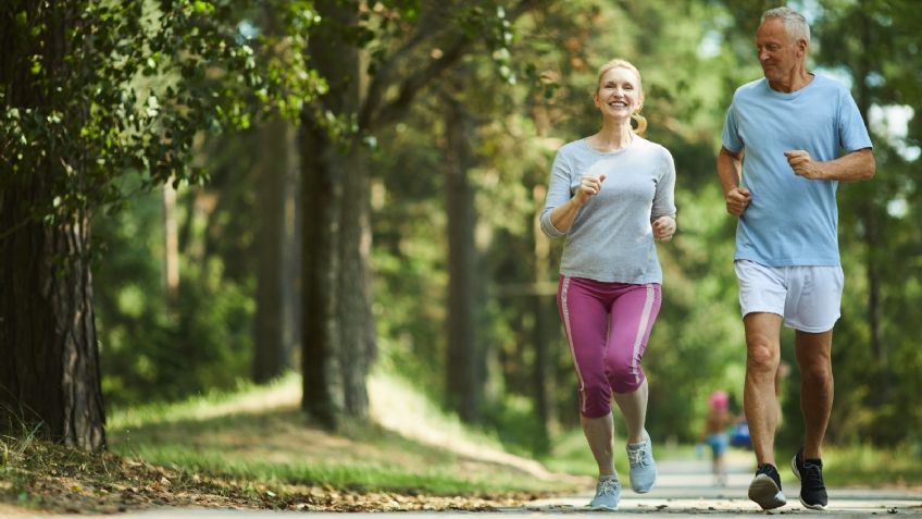 PÉPTIDOS BIOACTIVOS DE COLÁGENO, clave para el envejecimiento saludable