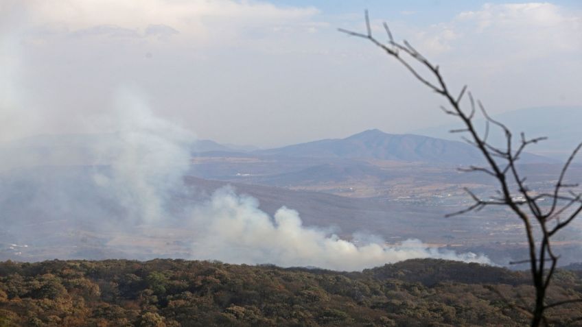 Bosque de la Primavera en Jalisco: incendio habría sido provocado