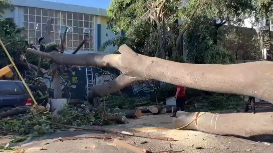 Laboran elementos del Heroico Cuerpo de Bomberos de la Ciudad de México