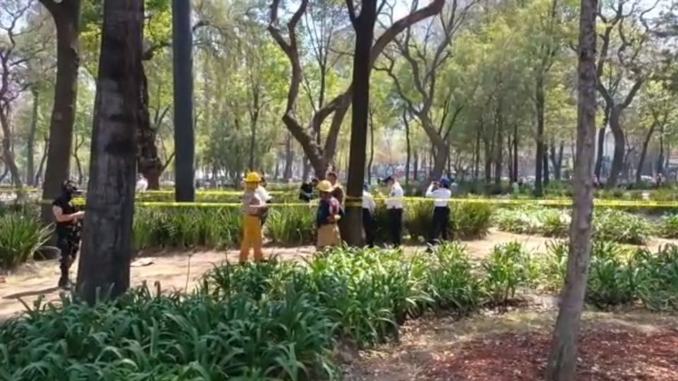 Los hechos ocurrieron la noche del viernes y este domingo se informaron las detenciones.